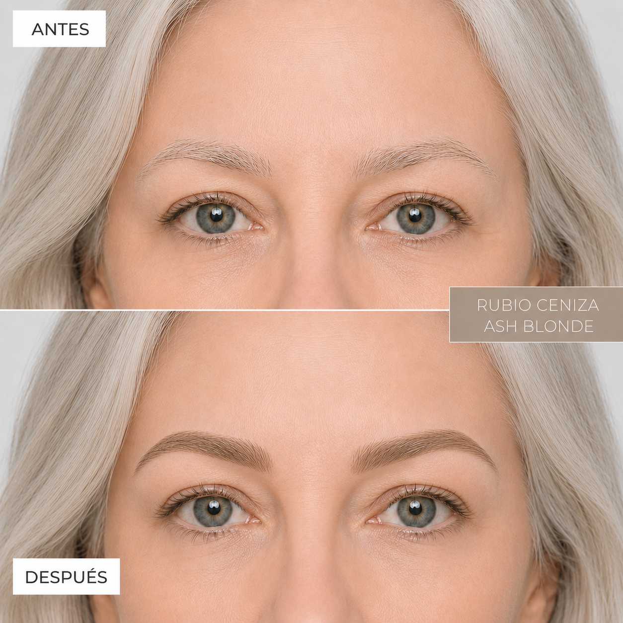 Tinte Híbrido Profesional para Cejas BBL