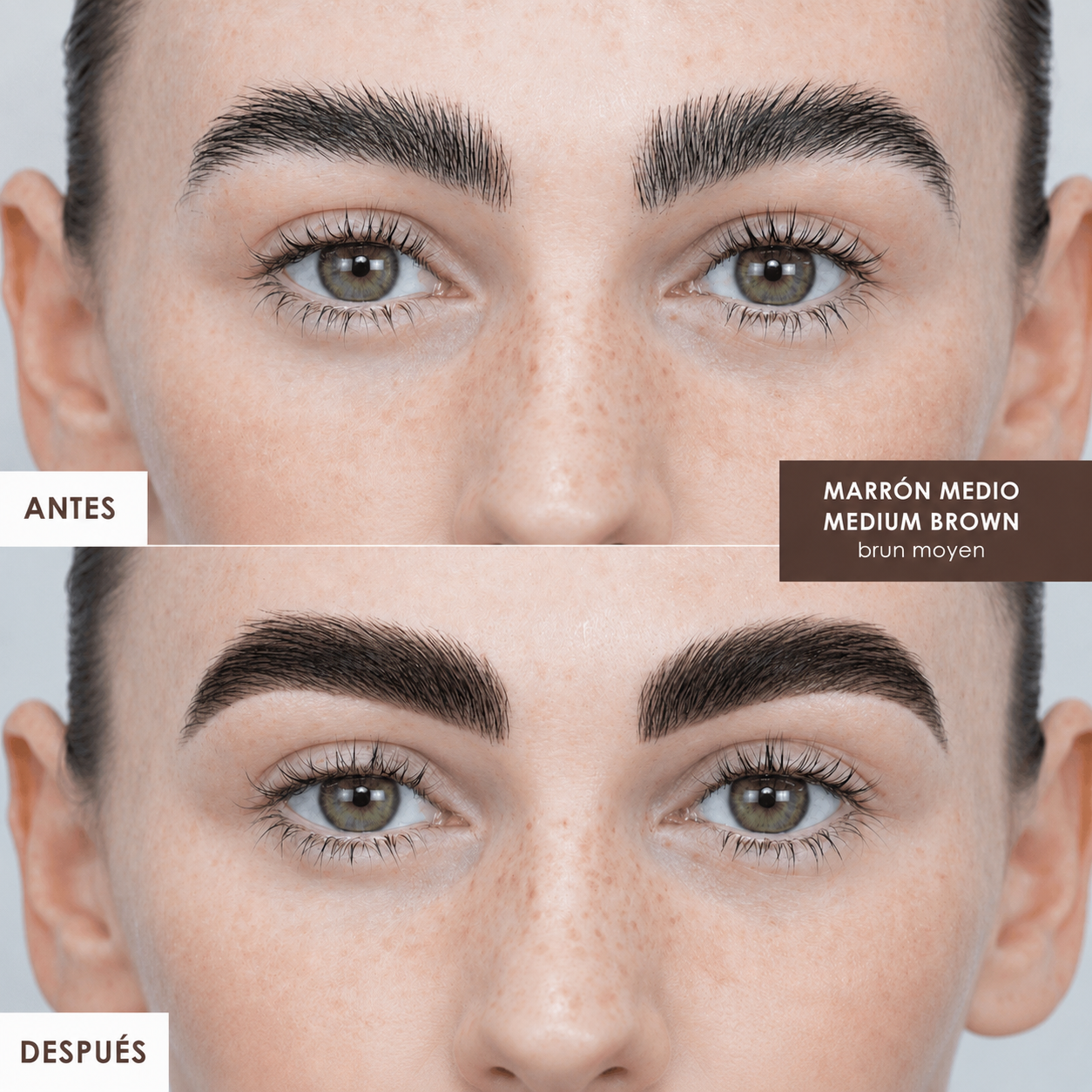Tinte Híbrido Profesional para Cejas BBL
