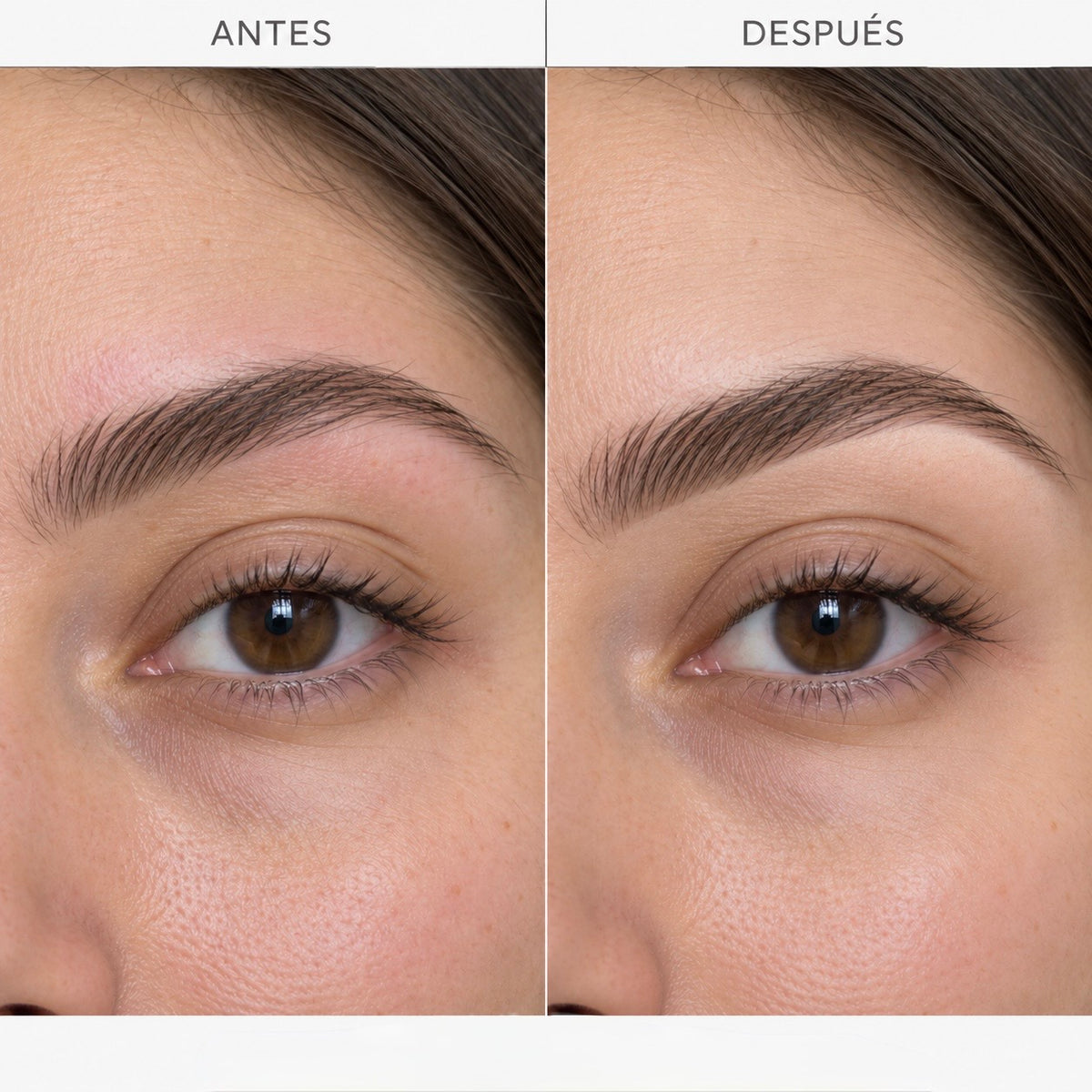 Rueda de correctores para definir e iluminar cejas | Beautiful Brows & Lashes