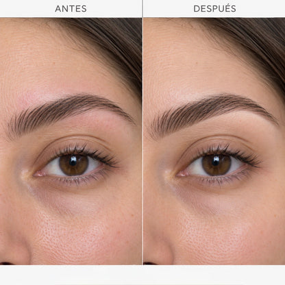 Rueda de correctores para definir e iluminar cejas | Beautiful Brows & Lashes
