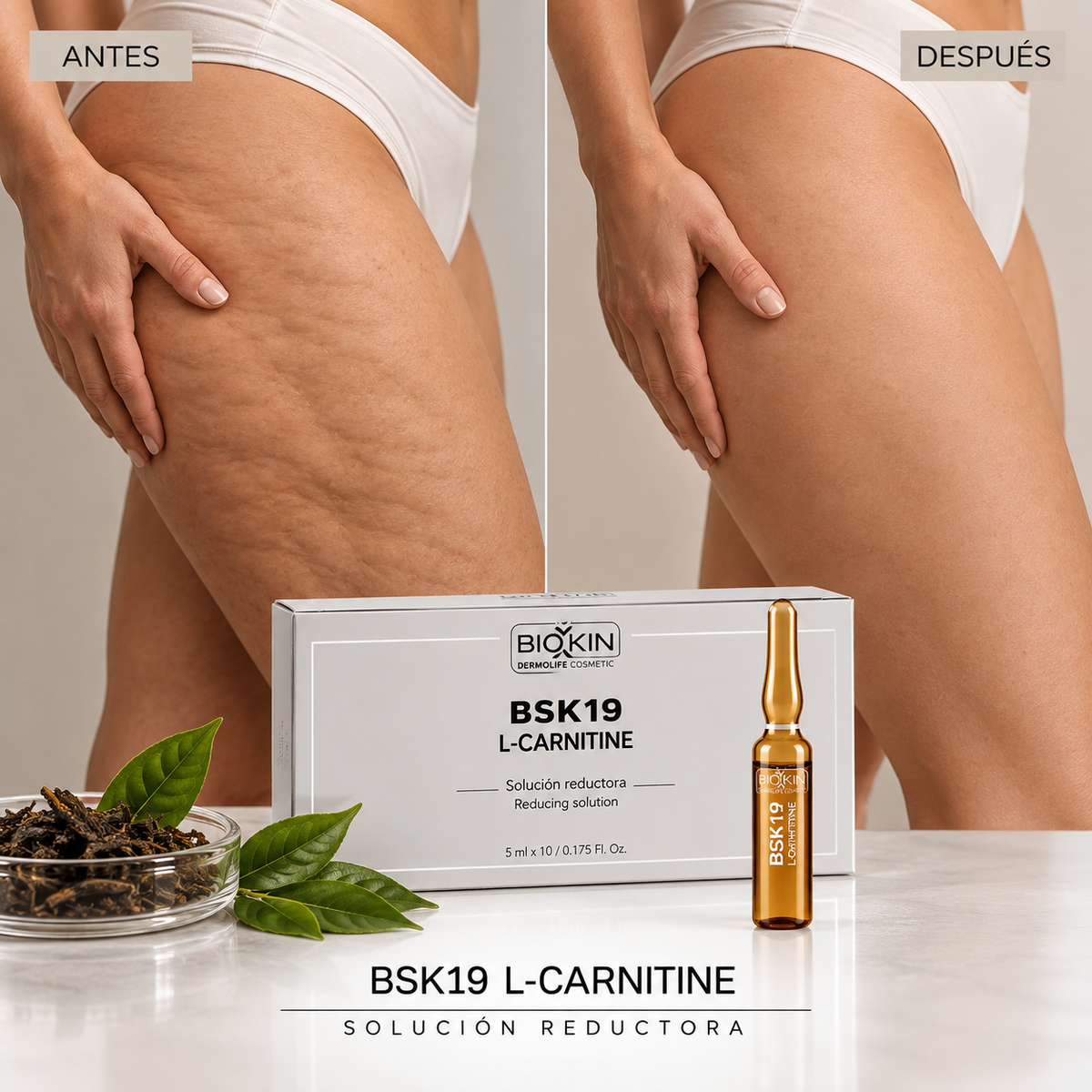 BSK19 L-CARNITINE · SOLUCIÓN REDUCTORA | 10u. × 5ml